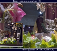 9- Герои с дней.jpg