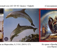 16д- Дельфины.jpg