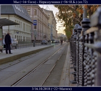 17- Неразлучники.jpg