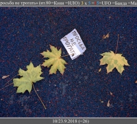 106а- листы.jpg