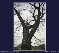 129- Дирижёр 3-й ноги.jpg