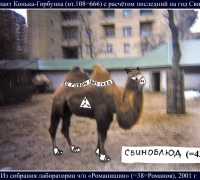 208- Свиноблюд 2000.jpg