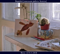 219- Воробей.jpg