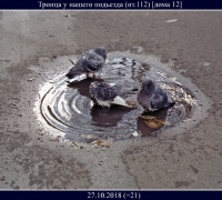 221- Троица 1.jpg