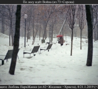 1098-Война по лесу.jpg