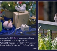 220а- Бедный Хаэм.jpg