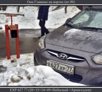 5 Главные на воротах.jpg