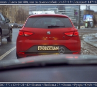 7 Огненный лев.jpg