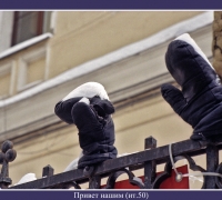 37 Привет нашим.jpg