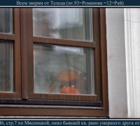 46 Тельцам.jpg