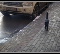 48 Расшифруй номер.jpg