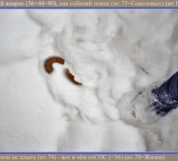 73 Горячий вопрос.jpg