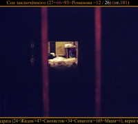 79 Сон ЗК верн цветок.jpg