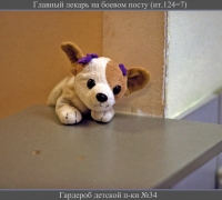 104 Главный лекарь.jpg