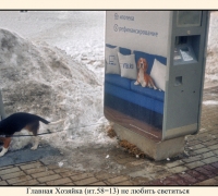 106 классика жанра.jpg