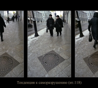 109 Тенденция к сам.jpg