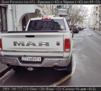 126 Доля рогатого.jpg