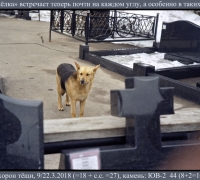 131 Рыжая чёлка.jpg