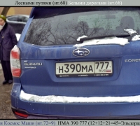 141 Через лес.jpg