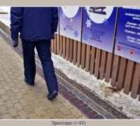 166 Эректорат.jpg