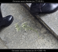 175 Остатки бытия.jpg