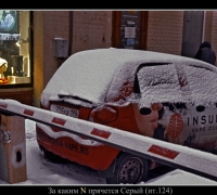 176 За каким  Серый.jpg