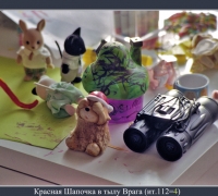 205 Кр Шап в тылу врага.jpg