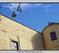 208 Мечта о Лунной Фее.jpg