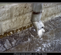 221 Напои меня водой.jpg