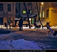 224 Жёлты сон.jpg