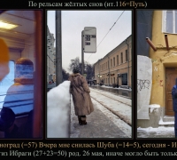 225 Вчера мне снилась Шуба.jpg