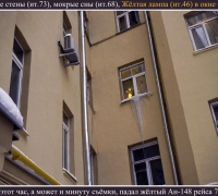 241 Жёлтые стены мокрые сны.jpg