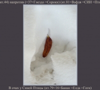 290 В очах у Синей птицы.jpg