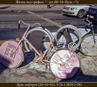 312 Жизнь под грифом  74.jpg