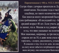 322 Синий венок.jpg