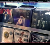 334 Белая змея как б птица.jpg