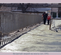 357 Втреч зверей на мосту.jpg