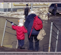 358 Звери спускаются.jpg