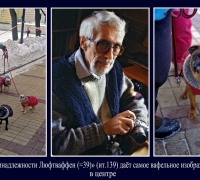 369 Красные и гол.jpg