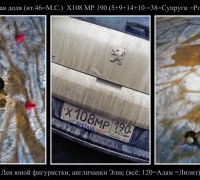 372 Львиная доля.jpg