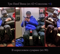 385 Три пингвина.jpg