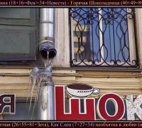 430 Моя Вагина Ш.jpg