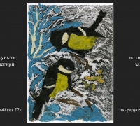 447 Снегири 8-2-18.jpg