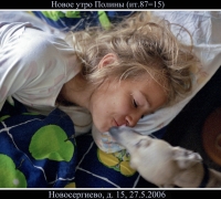 490 Утро Пол.jpg