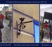 512 Темнот птич.jpg