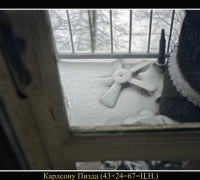 517 Карлсону Пи.jpg