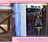 565 Сбываются Мечты Слона.jpg