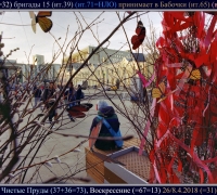 579 Бабочки.jpg