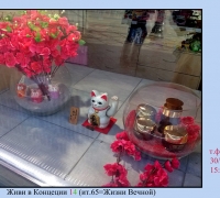 621 Живи в Концепции.jpg