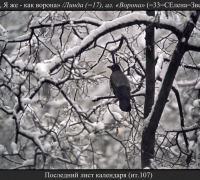 635 Последний л кал.jpg